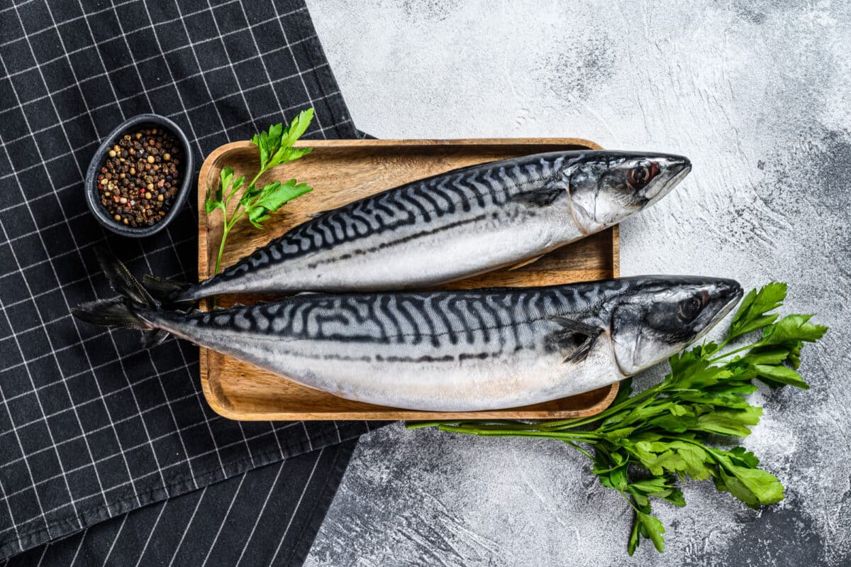 Privilégiez les maquereaux pour une alimentation riche en oméga 3 et responsable vis-à-vis des métaux lourds, un choix similaire aux sardines, au saumon, à l'anchois, la truite, l'aiglefin et à la daurade