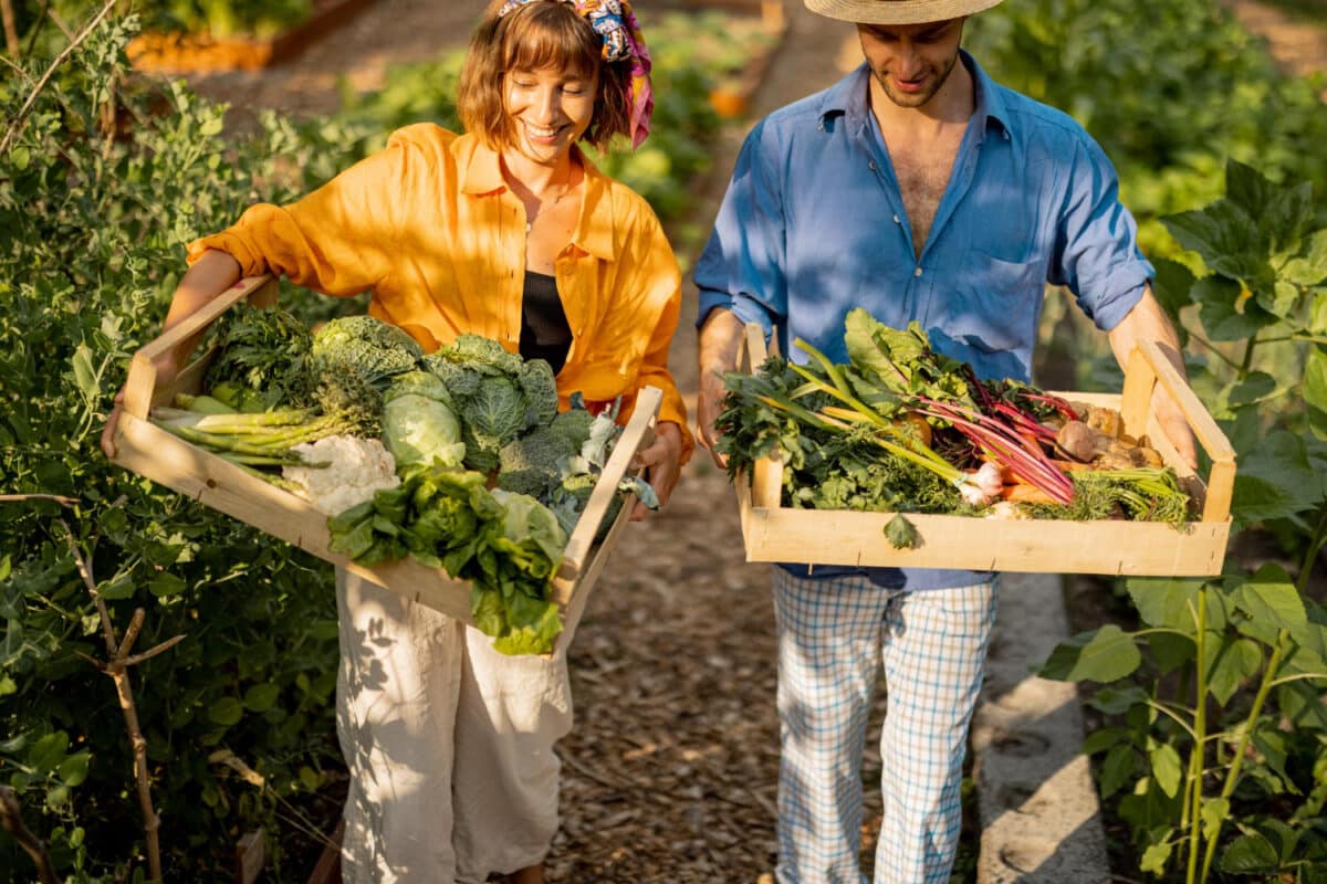 Cultiver ses propres légumes, fruits et aromates peut constituer une motivation supplémentaire