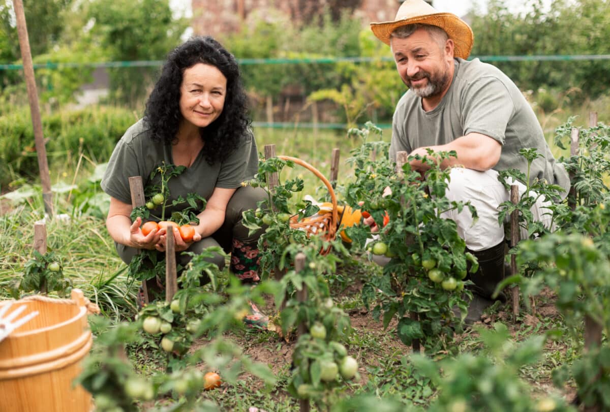 Les bienfaits du jardinage sur la santé mentale et physique