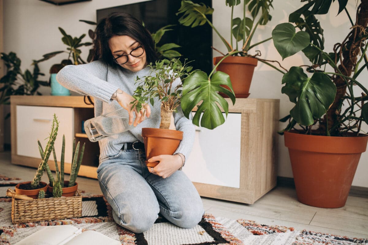 En intérieur aussi, s'occuper de plantes vertes peut apaiser l'esprit et faire du bien au corps