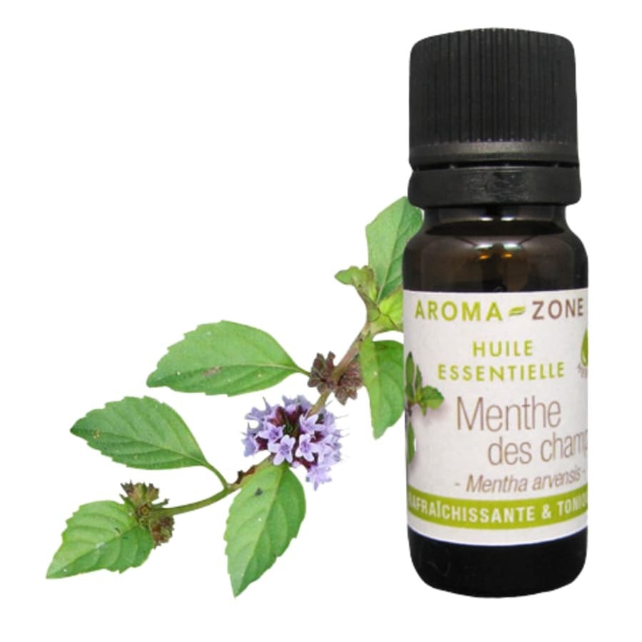 Flacon d'huile essentielle de Menthe des champs BIO de la marque Aroma-Zone